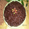 photo02
